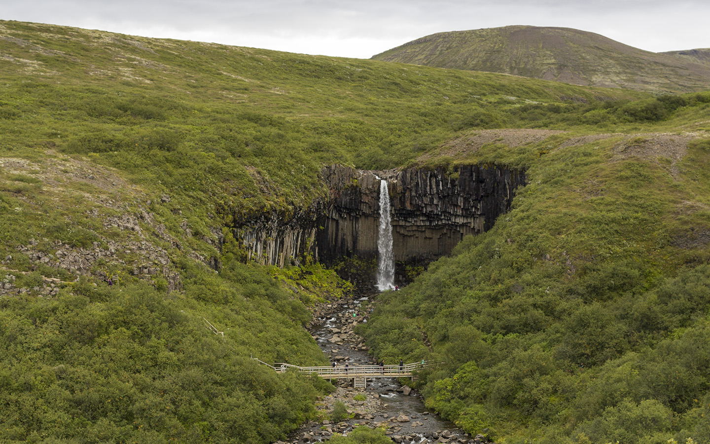 Svartifoss